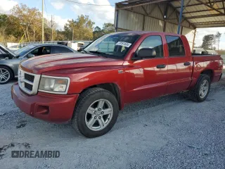2010 Dodge Dakota SXT with VIN 1D7CW3GP0AS107674, listed as a Copart auction lot 79161534 with 181,681 mi miles and Salvage Title. Bid and sale history available at carsss.com. Image 1.