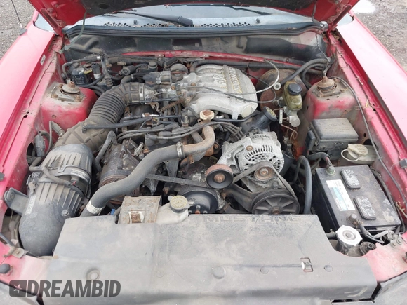 1995 Ford Mustang with VIN 1FALP4444SF238744, listed as a IAAI auction lot 42740503 with 178,211 mi miles and . Bid and sale history available at DreamBid. Image 10.