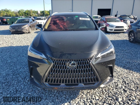 2025 Lexus NX with VIN 2T2ADCAZ0SC017635, listed as a Copart auction lot 49230415 with 6,900 mi miles and Salvage Title. Bid and sale history available at carsss.com. Image 5.