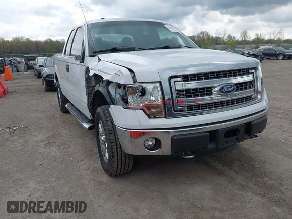 2013 Ford F-150 XL с VIN 1FTEX1EM0DFE01022, выставлен на аукционе IAAI как лот 42101860 с пробегом 153 993 миль миль и . История ставок и продаж доступна на DreamBid. Изображение 1.