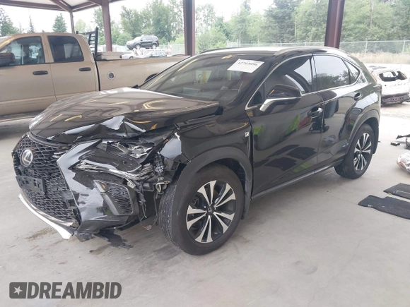 2018 Lexus NX 300 with VIN JTJBARBZ1J2163748, listed as a IAAI auction lot 42703096 with 75,290 mi miles and . Bid and sale history available at DreamBid. Image 18.