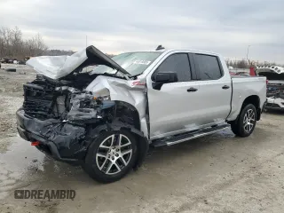 2020 Chevrolet Silverado 1500 LT Trail Boss with VIN 1GCPYFED4LZ141918, listed as a Copart auction lot 46819885 with 86,694 mi miles and Salvage Title. Bid and sale history available at carsss.com. Image 1.