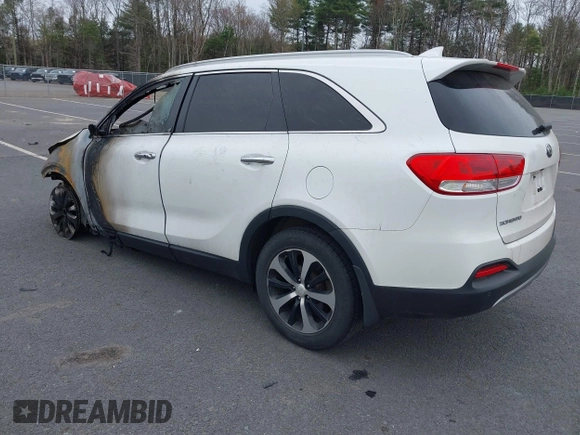 2017 Kia Sorento EX with VIN 5XYPHDA57HG271491, listed as a IAAI auction lot 42111594 with 79,556 mi miles and . Bid and sale history available at DreamBid. Image 3.