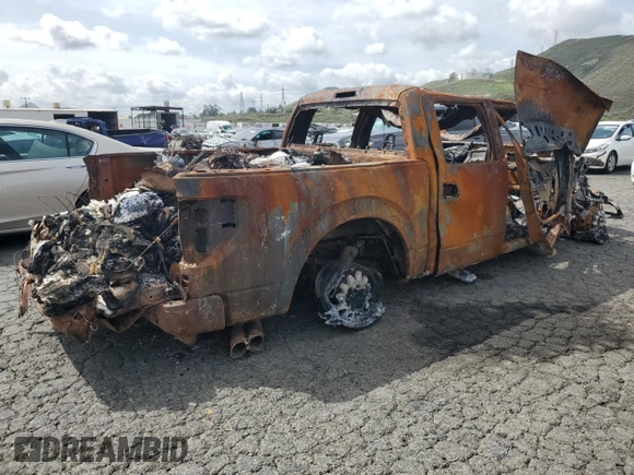 2014 Ford F-150 SVT Raptor with VIN 1FTFW1R68EFC90689, listed as a Copart auction lot 48325855 with Not Provided miles and Non Repairable. Bid and sale history available at carsss.com. Image 3.