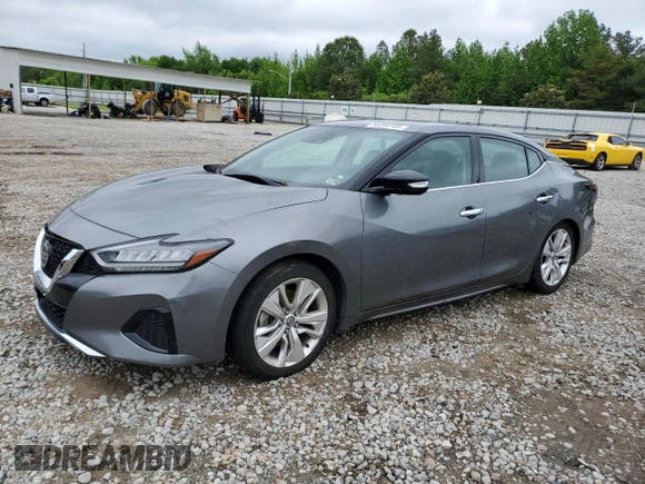 2022 Nissan Maxima SV with VIN 1N4AA6CV7NC505556, listed as a Copart auction lot 56204185 with 52,160 mi miles and Salvage title. Bid and sale history available at DreamBid. Image 1.
