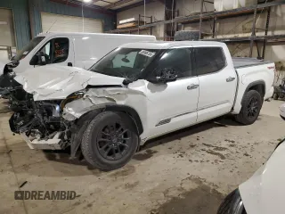 2022 Toyota Tundra 1794 Edition with VIN 5TFMA5DB0NX009609, listed as a Copart auction lot 86996704 with 79,697 mi miles and Salvage title. Bid and sale history available at DreamBid. Image 1.
