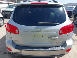 2009 Hyundai Santa Fe SE with VIN 5NMSH13E99H300552, listed as a IAAI auction lot 41772584 with 155,127 mi miles and . Bid and sale history available at DreamBid. Image 17.