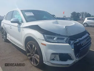 2018 Audi SQ5 Premium Plus with VIN WA1A4AFYXJ2061822, listed as a IAAI auction lot 42491226 with 122,635 mi miles and . Bid and sale history available at DreamBid. Image 17.