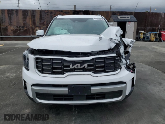 2024 Kia Telluride S with VIN 5XYP64GC0RG426069, listed as a Copart auction lot 48622925 with 19,529 mi miles and Salvage Title. Bid and sale history available at carsss.com. Image 5.