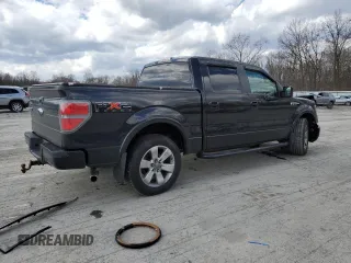 2010 Ford F-150 XL with VIN 1FTFW1CV0AKE33166, listed as a Copart auction lot 50137315 with 234,532 mi miles and Salvage Title. Bid and sale history available at carsss.com. Image 3.