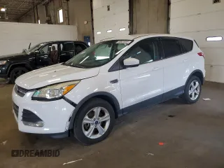 2014 Ford Escape SE z VIN 1FMCU9G99EUC65683, wystawiony jako Copart lot #60923565 z przebiegiem 195 340 mil mil oraz Szkoda całkowita • Salvage title. Historia ofert i sprzedaży dostępna na DreamBid. Obrazek 1.