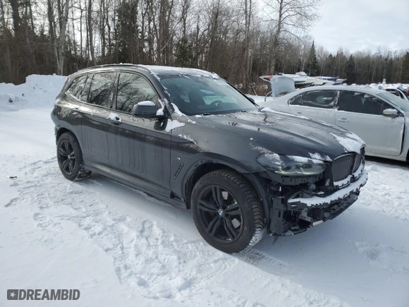 2023 BMW X3 xDrive30i with VIN 5UX53DP06P9R26143, listed as a Copart auction lot 88501095 with 45,146 mi miles and Salvage Title. Bid and sale history available at carsss.com. Image 4.