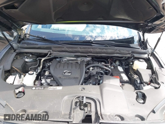 2024 Lexus RX 350 с VIN 2T2BAMBA8RC027061, выставлен на аукционе IAAI как лот 42535235 с пробегом 21 346 миль миль и . История ставок и продаж доступна на DreamBid. Изображение 10.