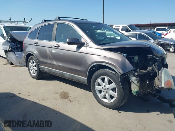 2009 Honda CR-V EX-L with VIN 5J6RE38729L018050, listed as a IAAI auction lot 41982215 with 144,163 mi miles and . Bid and sale history available at carsss.com. Image 1.
