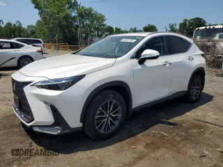 2024 Lexus NX 350 Premium с VIN 2T2GGCEZ0RC056702, выставлен на аукционе Copart как лот 62602755 с пробегом 13 317 миль миль и Списание • Salvage title. История ставок и продаж доступна на DreamBid. Изображение 1.