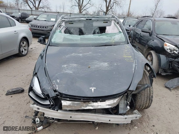 2024 Tesla Model Y Long Range with VIN 7SAYGDEE9RA288125, listed as a IAAI auction lot 41185266 with NaN miles. Bid and sale history available at carsss.com. Image 12.