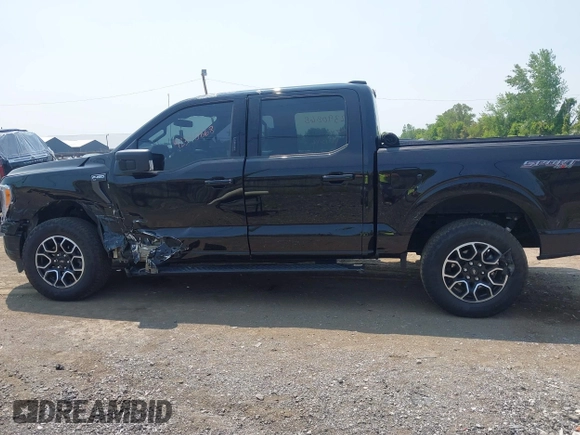 2023 Ford F-150 XL z VIN 1FTEW1EP6PKF23103, wystawiony jako IAAI lot #42390868 z przebiegiem 15 149 mil mil oraz . Historia ofert i sprzedaży dostępna na DreamBid. Obrazek 15.