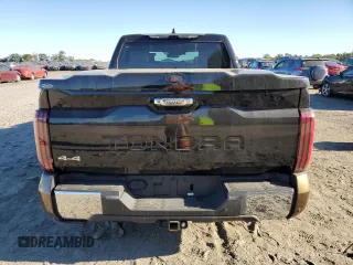 2022 Toyota Tundra 1794 Edition with VIN 5TFMA5DB6NX009193, listed as a Copart auction lot 74429534 with 49,570 mi miles and Salvage title. Bid and sale history available at DreamBid. Image 6.