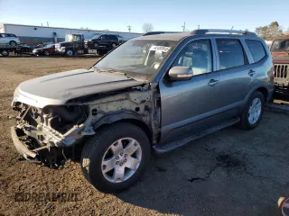 2009 Kia Borrego LX with VIN KNDJH741795017158, listed as a Copart auction lot 42489845 with 116,336 mi miles and Salvage Title. Bid and sale history available at carsss.com. Image 1.