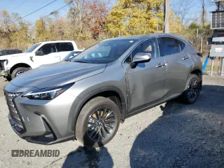 2025 Lexus NX with VIN JTJGKCEZ7S2042218, listed as a Copart auction lot 77576384 with 600 mi miles and Salvage Title. Bid and sale history available at carsss.com. Image 1.