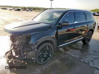 2022 Kia Telluride SX with VIN 5XYP54HC2NG292029, listed as a Copart auction lot 52113985 with 66,248 mi miles and Salvage title. Bid and sale history available at DreamBid. Image 1.