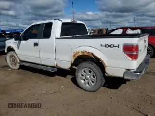 2010 Ford F-150 XL z VIN 1FTEX1E83AFB78831, wystawiony jako Copart lot #57885125 z przebiegiem 370 157 mil mil oraz Czysty tytuł • Clean title. Historia ofert i sprzedaży dostępna na DreamBid. Obrazek 2.