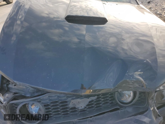 2008 Ford Mustang GT Deluxe with VIN 1ZVHT82H385152393, listed as a Copart auction lot 58991235 with 134,298 mi miles and Salvage title. Bid and sale history available at DreamBid. Image 11.