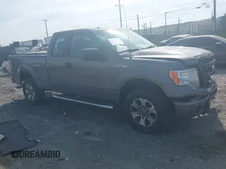 2013 Ford F-150 XL z VIN 1FTFX1EF1DKF40234, wystawiony jako IAAI lot #42167807 z przebiegiem 185 619 mil mil oraz . Historia ofert i sprzedaży dostępna na DreamBid. Obrazek 1.