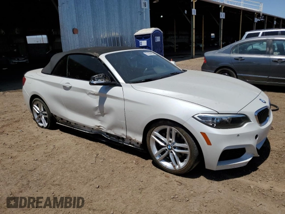 2016 BMW 2 Series 228i with VIN WBA1K9C54GV322418, listed as a Copart auction lot 51099483 with 105,804 mi miles. Bid and sale history available at carsss.com. Image 4.