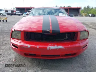 2008 Ford Mustang Deluxe with VIN 1ZVHT80N885207607, listed as a IAAI auction lot 42012378 with 147,346 mi miles. Bid and sale history available at carsss.com. Image 13.