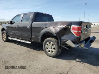 2013 Ford F-150 XL with VIN 1FTFW1EF9DFD39306, listed as a Copart auction lot 54364385 with 300,615 mi miles and Salvage Title. Bid and sale history available at carsss.com. Image 2.