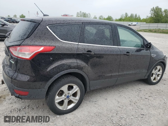 2013 Ford Escape SE with VIN 1FMCU0GX3DUB62509, listed as a Copart auction lot 57595155 with 134,253 mi miles and Clean title. Bid and sale history available at DreamBid. Image 3.