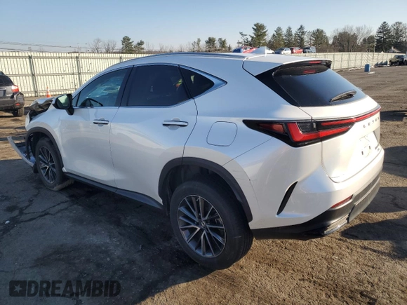 2022 Lexus NX with VIN 2T2AKCEZ9NC001437, listed as a Copart auction lot 86404734 with 19,879 mi miles and Salvage Title. Bid and sale history available at carsss.com. Image 2.