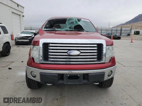 2010 Ford F-150 XL with VIN 1FTFW1EV9AFB54028, listed as a Copart auction lot 44244155 with 158,050 mi miles and Salvage Title. Bid and sale history available at carsss.com. Image 5.