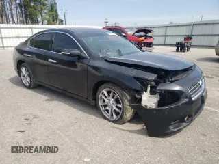 2009 Nissan Maxima SV with VIN 1N4AA51E99C807465, listed as a Copart auction lot 49768325 with Not Provided miles and Salvage Title. Bid and sale history available at DreamBid. Image 4.