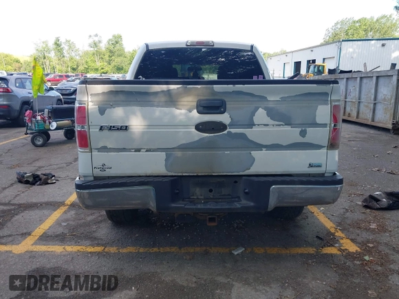 2010 Ford F-150 XL with VIN 1FTFW1EVXAKA89827, listed as a IAAI auction lot 42573342 with 205,504 mi miles and . Bid and sale history available at DreamBid. Image 16.