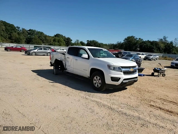 2017 Chevrolet Colorado 2WD WT with VIN 1GCGSBEA2H1193036, listed as a Copart auction lot 76692834 with 0 mi miles and Salvage Title. Bid and sale history available at carsss.com. Image 11.