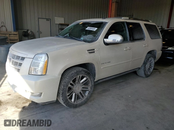 2013 Cadillac Escalade Premium with VIN 1GYS4CEF4DR179358, listed as a Copart auction lot 44060485 with 175,268 mi miles and Clean Title. Bid and sale history available at carsss.com. Image 1.