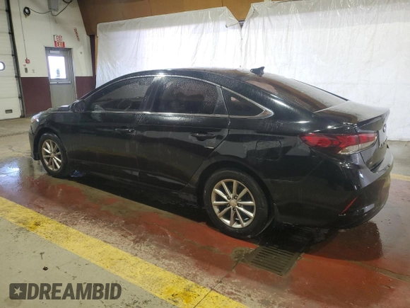 2019 Hyundai Sonata SE with VIN 5NPE24AF1KH807563, listed as a Copart auction lot 49001865 with Not Provided miles and Clean Title. Bid and sale history available at carsss.com. Image 2.