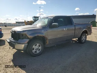 2011 Ford F-150 XL with VIN 1FTFX1EF5BFB63672, listed as a Copart auction lot 53167015 with 309,669 mi miles and Salvage Title. Bid and sale history available at carsss.com. Image 1.