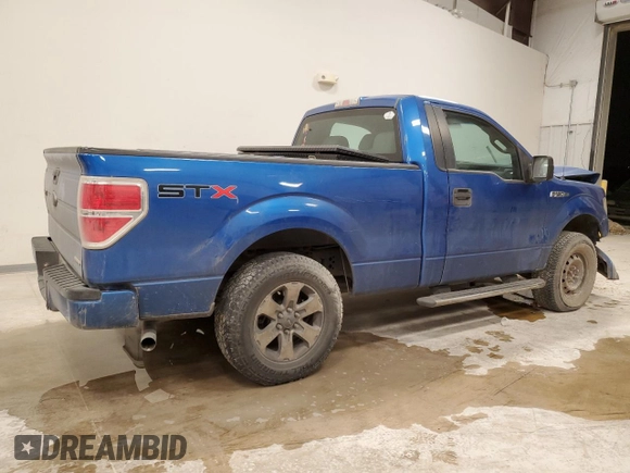 2013 Ford F-150 XL with VIN 1FTMF1CF5DFD02991, listed as a Copart auction lot 46853675 with 127,474 mi miles and Salvage title. Bid and sale history available at DreamBid. Image 3.