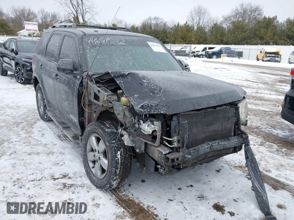 2008 Ford Escape Limited with VIN 1FMCU04148KE65929, listed as a IAAI auction lot 41621582 with Not provided miles and . Bid and sale history available at DreamBid. Image 6.