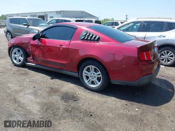 2010 Ford Mustang V6 с VIN 1ZVBP8AN7A5135555, выставлен на аукционе IAAI как лот 42065460 с пробегом 154 015 миль миль и . История ставок и продаж доступна на DreamBid. Изображение 3.