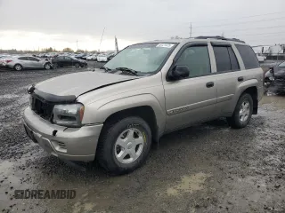 2002 Chevrolet TrailBlazer LTZ with VIN 1GNDT13SX22438129, listed as a Copart auction lot 46121475 with 170,509 mi miles and Salvage Title. Bid and sale history available at DreamBid. Image 1.