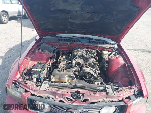 2006 Ford Mustang Standard with VIN 1ZVFT84N365190097, listed as a IAAI auction lot 42015242 with Not Provided miles and . Bid and sale history available at carsss.com. Image 10.