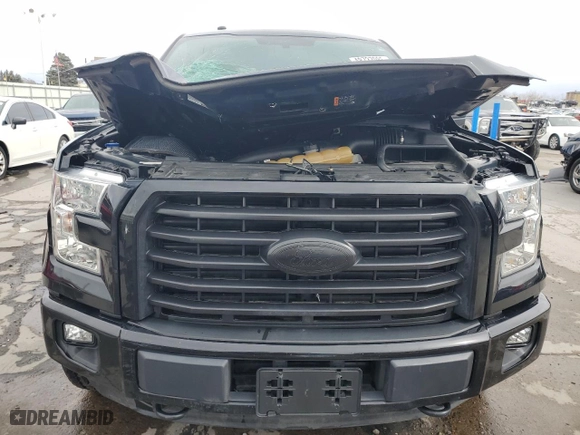 2016 Ford F-150 XLT with VIN 1FTEW1EG2GKD31323, listed as a Copart auction lot 48737085 with 0 mi miles and Salvage Title. Bid and sale history available at carsss.com. Image 5.