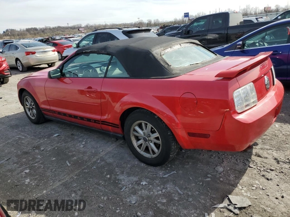 2006 Ford Mustang Standard with VIN 1ZVFT84N465151325, listed as a Copart auction lot 50571645 with Not Provided miles and Clean Title. Bid and sale history available at carsss.com. Image 2.