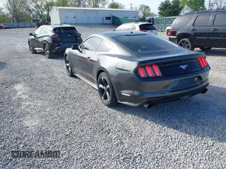 2019 Ford Mustang EcoBoost z VIN 1FA6P8TH9K5201378, wystawiony jako IAAI lot #41975711 z przebiegiem 46 945 mil mil oraz . Historia ofert i sprzedaży dostępna na DreamBid. Obrazek 3.