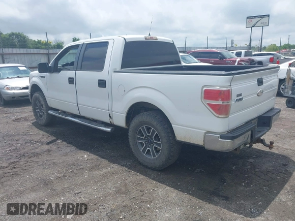 2009 Ford F-150 XL with VIN 1FTPW14V19FA21197, listed as a IAAI auction lot 42196261 with 279,992 mi miles and . Bid and sale history available at DreamBid. Image 3.