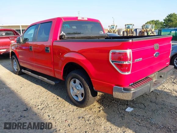 2013 Ford F-150 XL with VIN 1FTEW1CMXDKE99134, listed as a IAAI auction lot 42058789 with 218,432 mi miles. Bid and sale history available at carsss.com. Image 3.